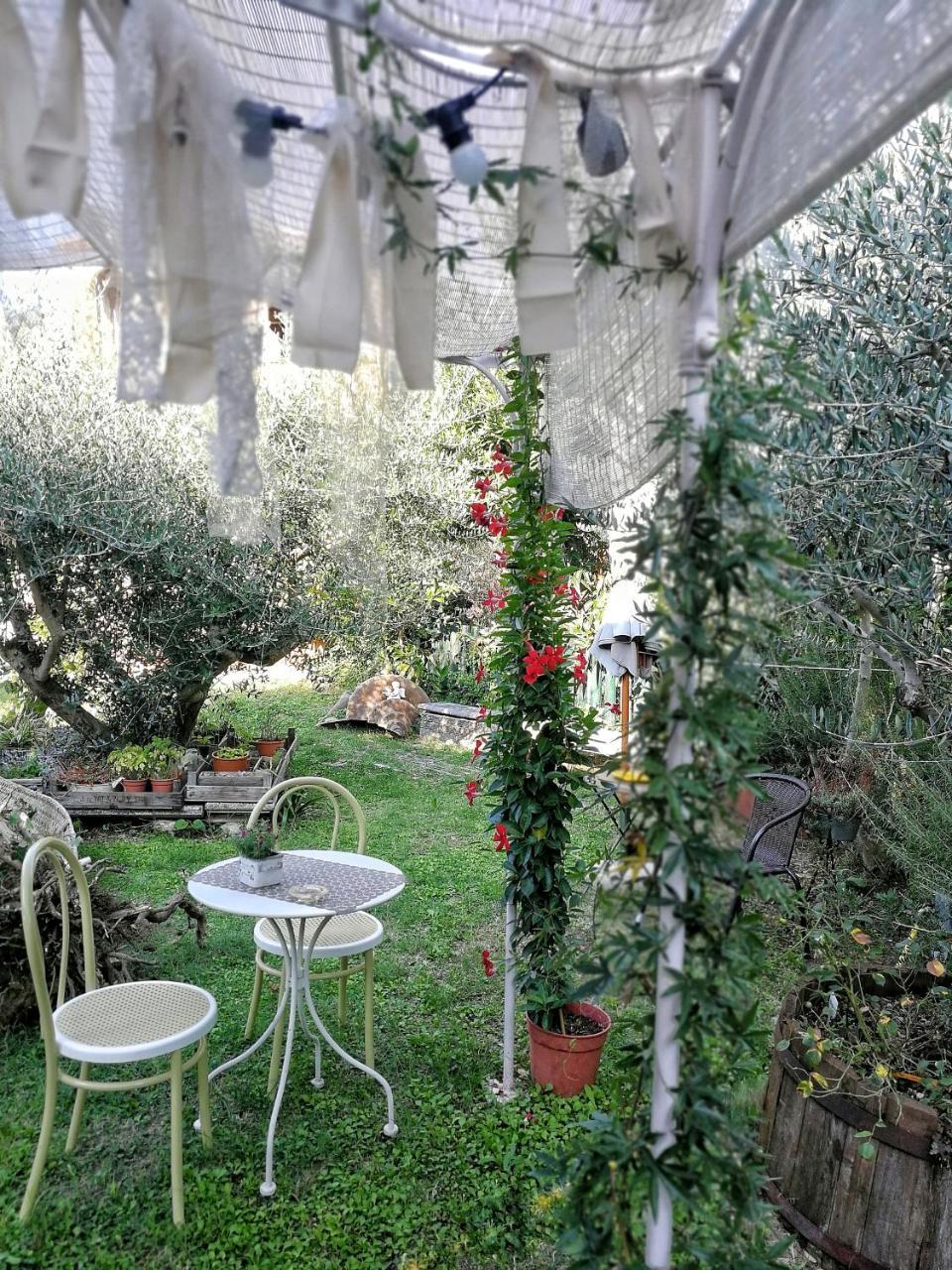 Il Giardino Dei Frati Bed & Breakfast Roncofreddo ภายนอก รูปภาพ